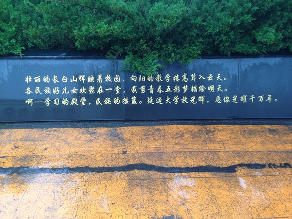 贼喜欢这种夸张的赞美之词