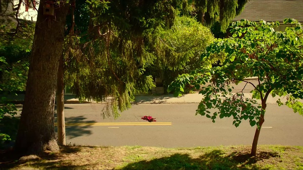 腊肠狗（cancer）被多次碾压